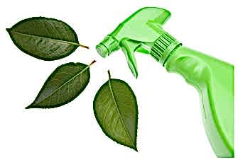 Eco friendly Cleaning