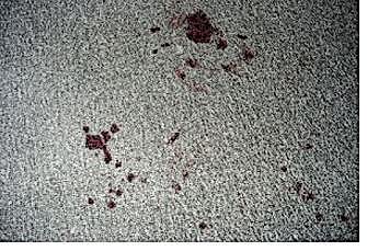 How to get rid of holiday stains