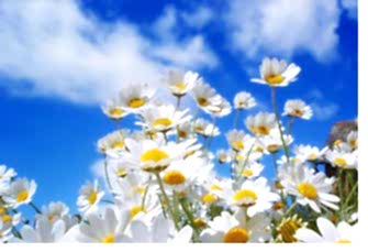 Preparing for the Spring